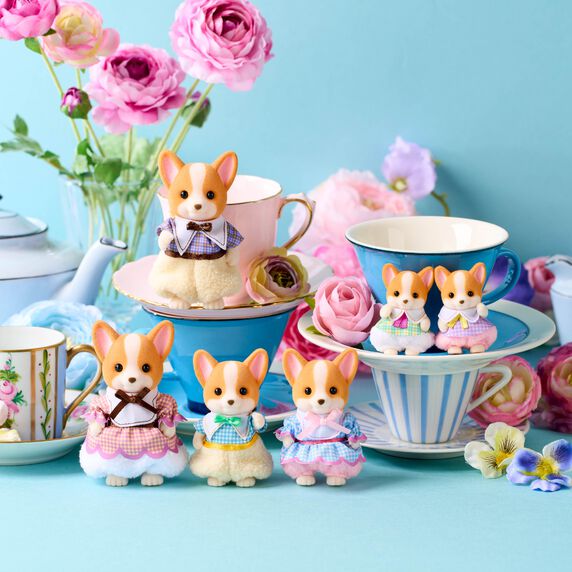 Corgi Familie